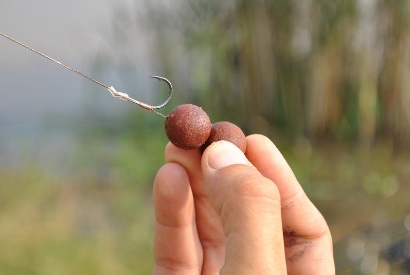 Pont pentru crap mare